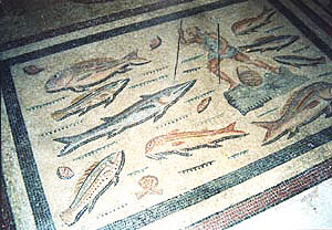 Harpoon fishing in a mosaic from Kos