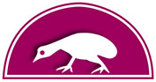 Vögelchen
